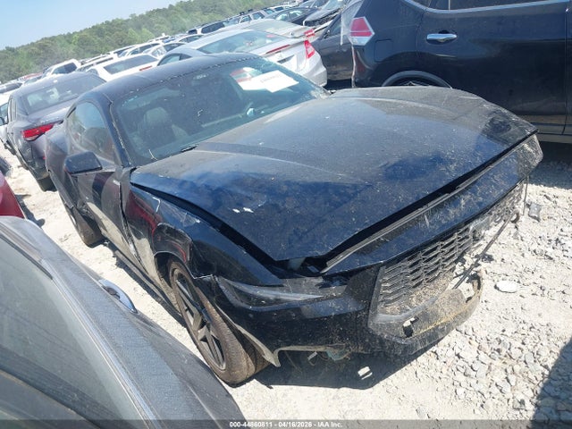 Salvage Ford Mustang Image