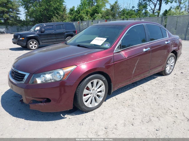 Honda Accord 3.5 Ex-l