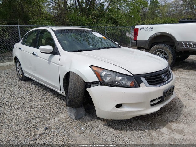 Salvage Honda Accord Image