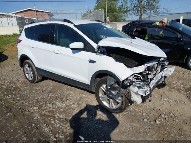 Salvage Ford Escape Image