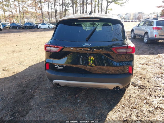 Ford Escape Active