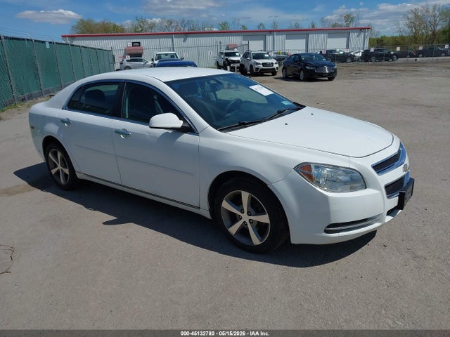 Salvage Chevrolet Malibu Image