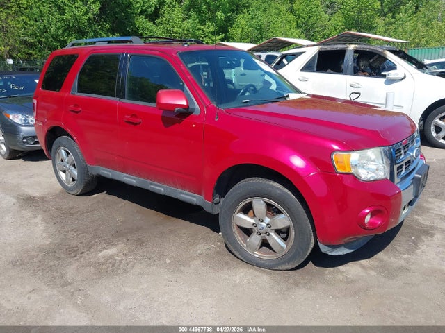 Salvage Ford Escape Image