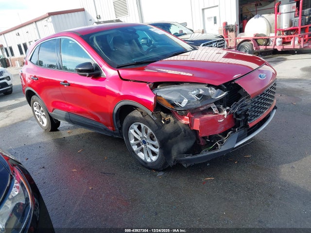 Salvage Ford Escape Image