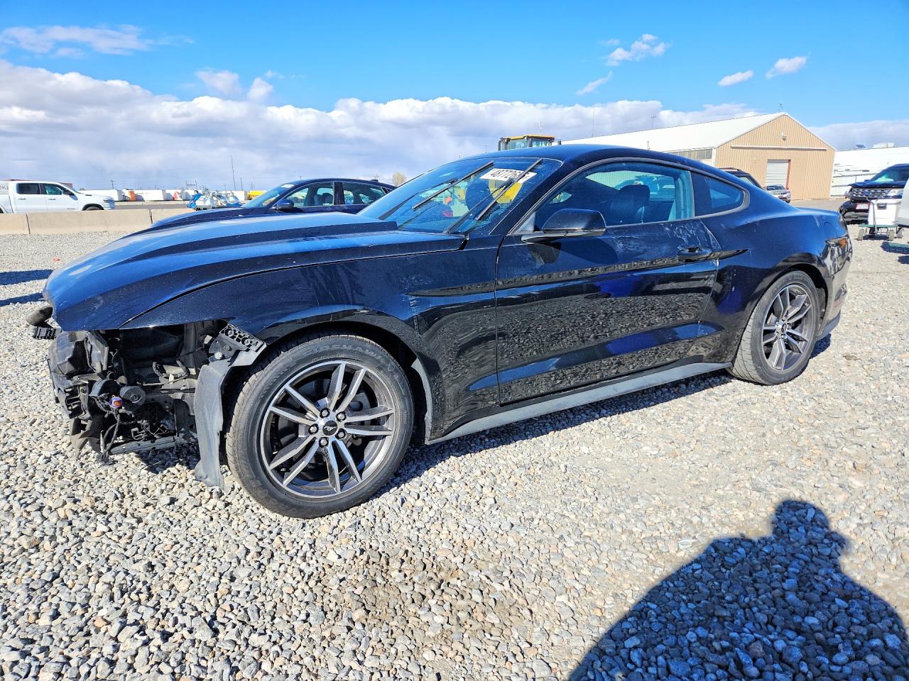 Salvage Ford Mustang Image