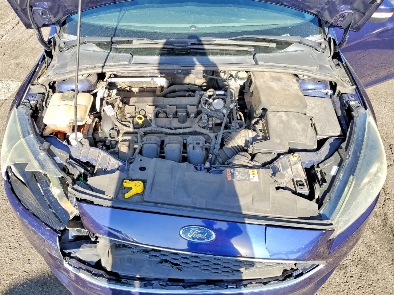 Ford Focus Se