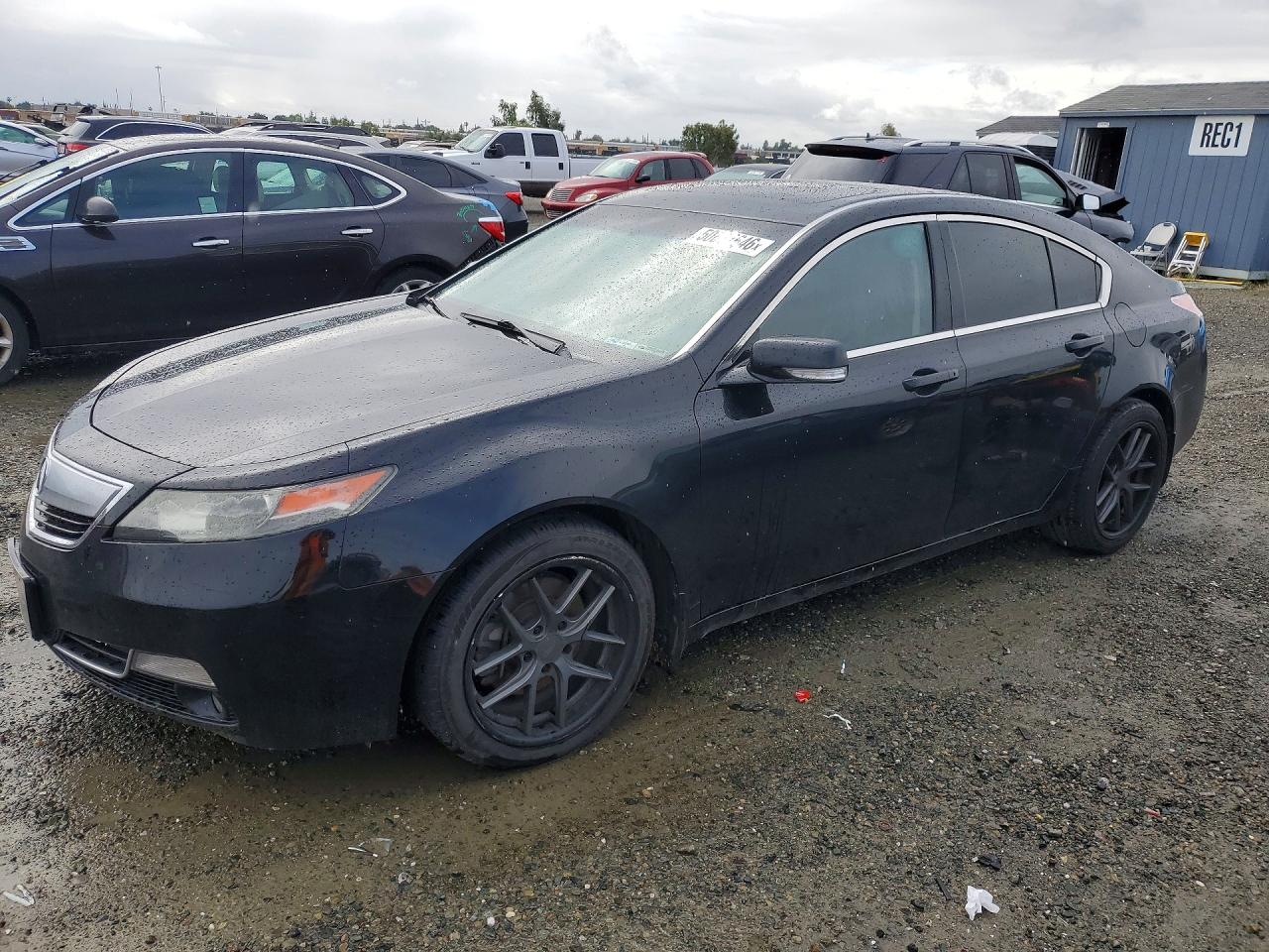 Salvage Acura TL Image