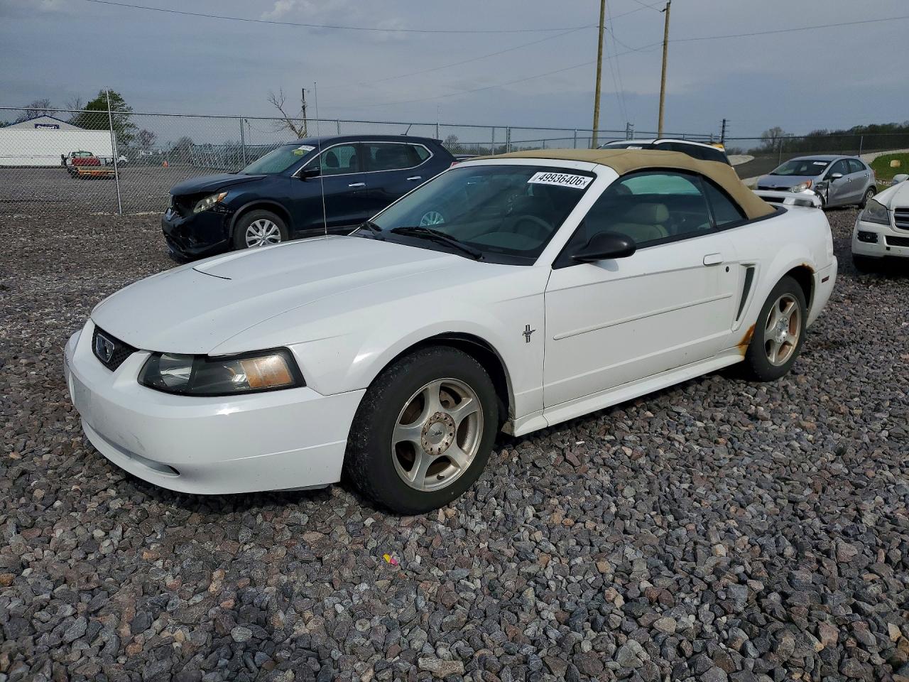 Salvage Ford Mustang Image