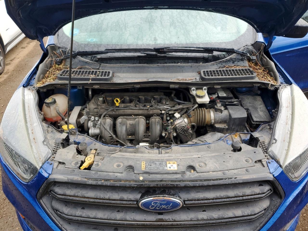 Ford Escape S