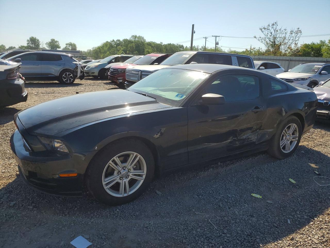 Salvage Ford Mustang Image