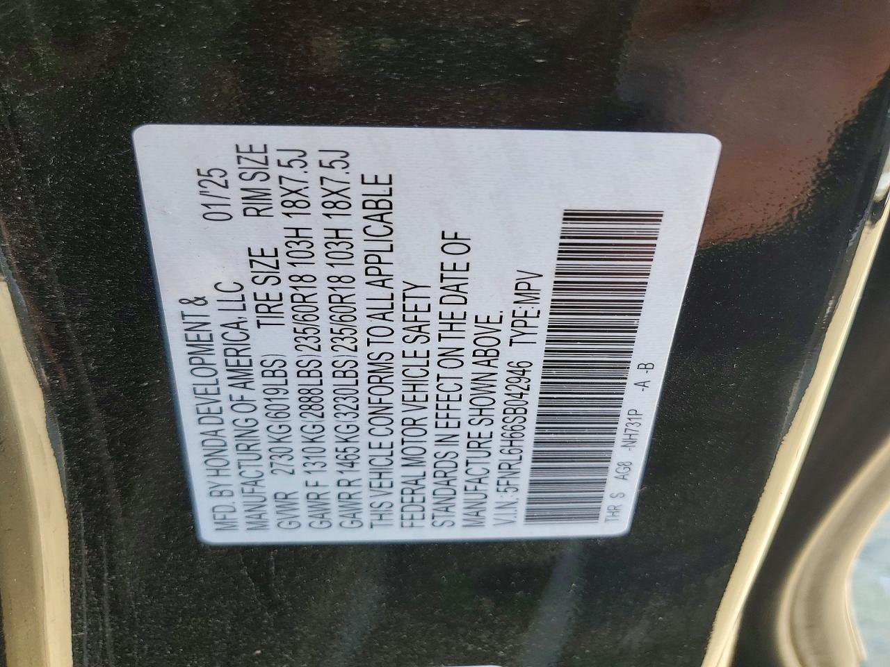 Honda Odyssey Exl