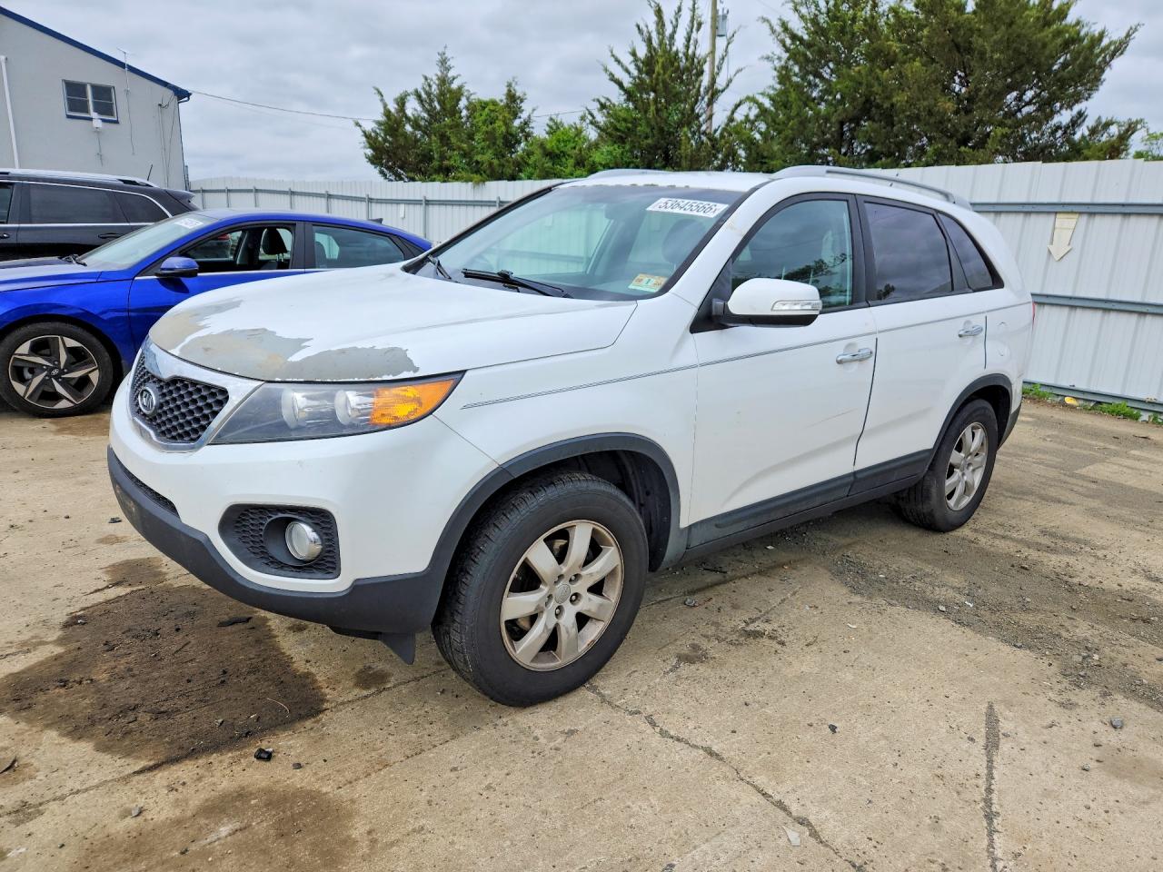 Salvage Kia Sorento Image