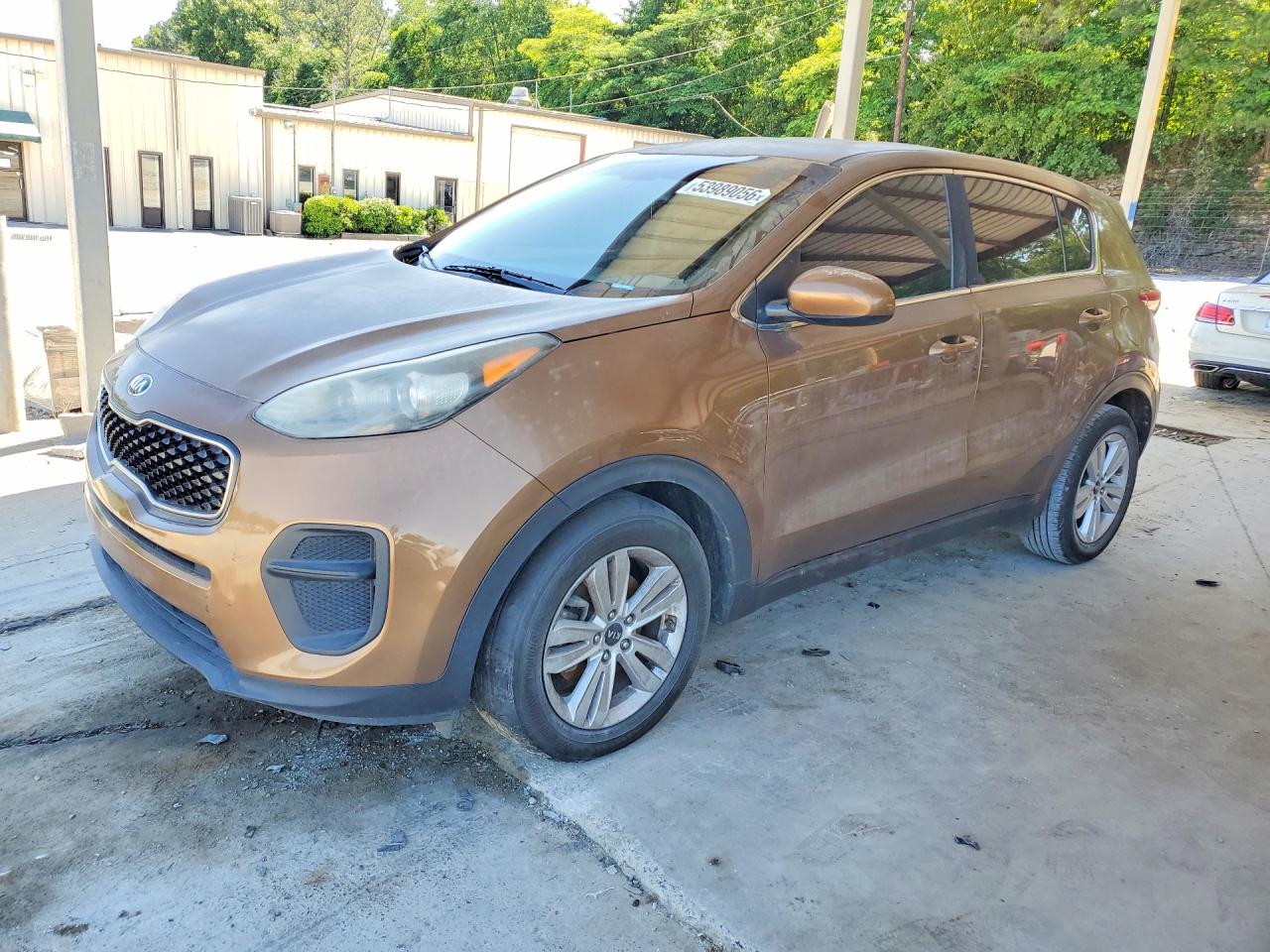 Salvage Kia Sportage Image