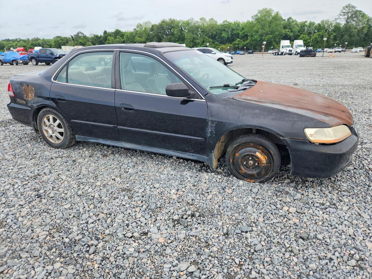 Honda Accord Se