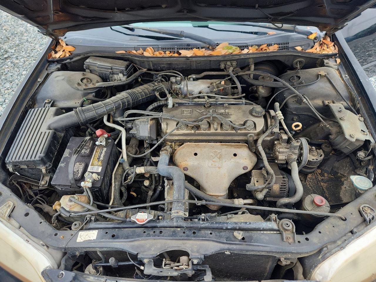Honda Accord Se