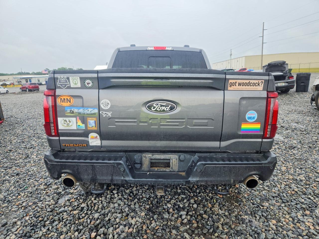 Ford F-150 Tremor
