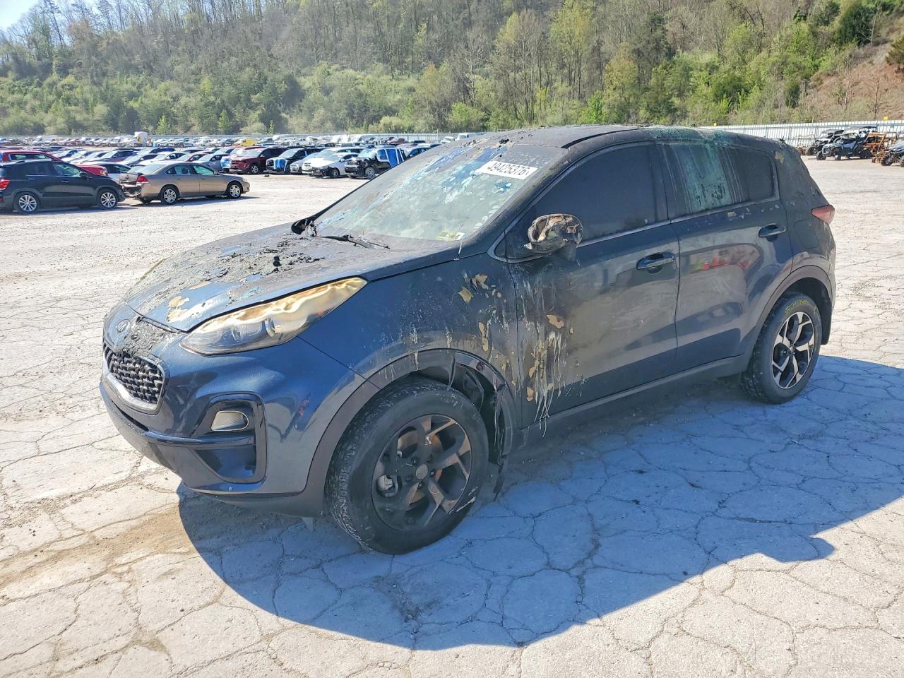 Salvage Kia Sportage Image