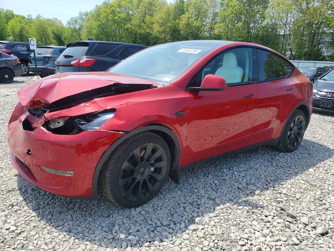 Salvage Tesla Model Y Image