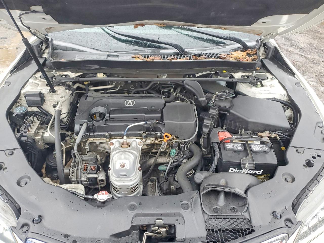 Acura TLX