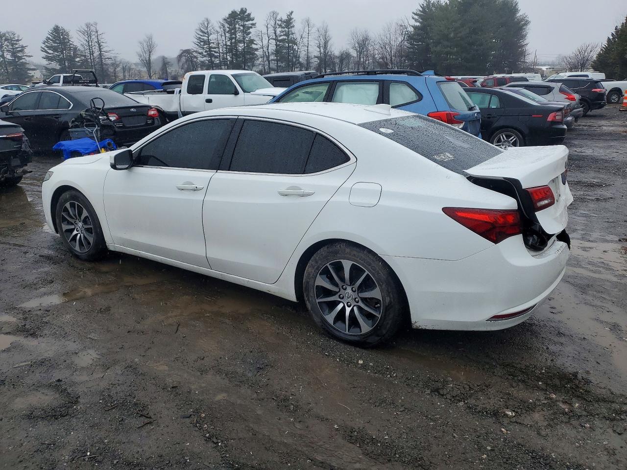 Acura TLX