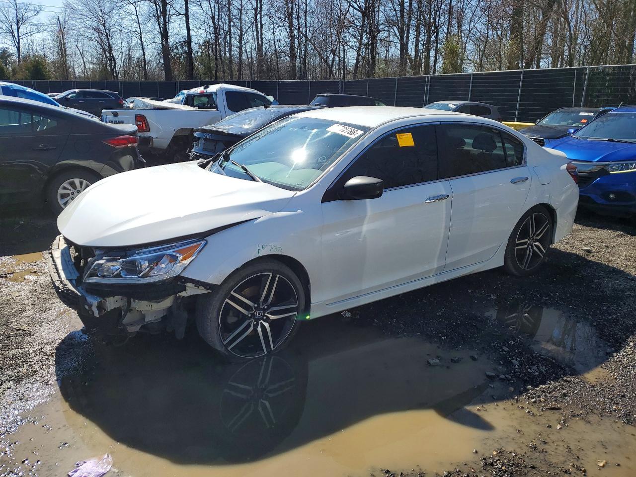 Salvage Honda Accord Image