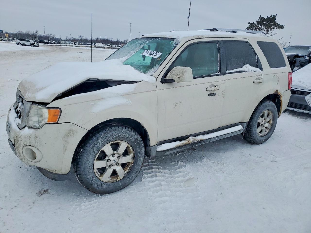 Salvage Ford Escape Image