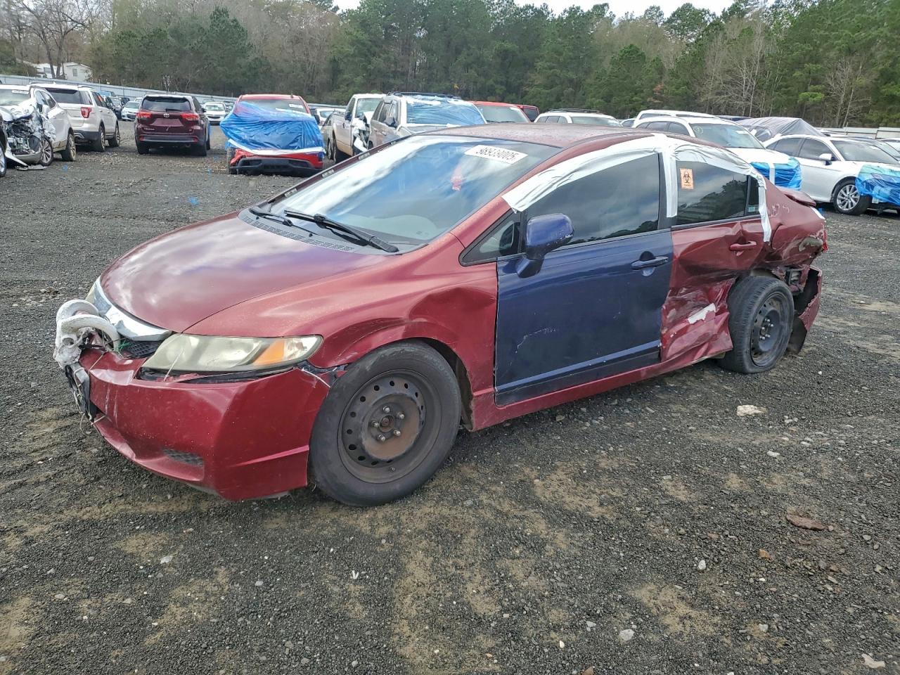 Salvage Honda Civic Image