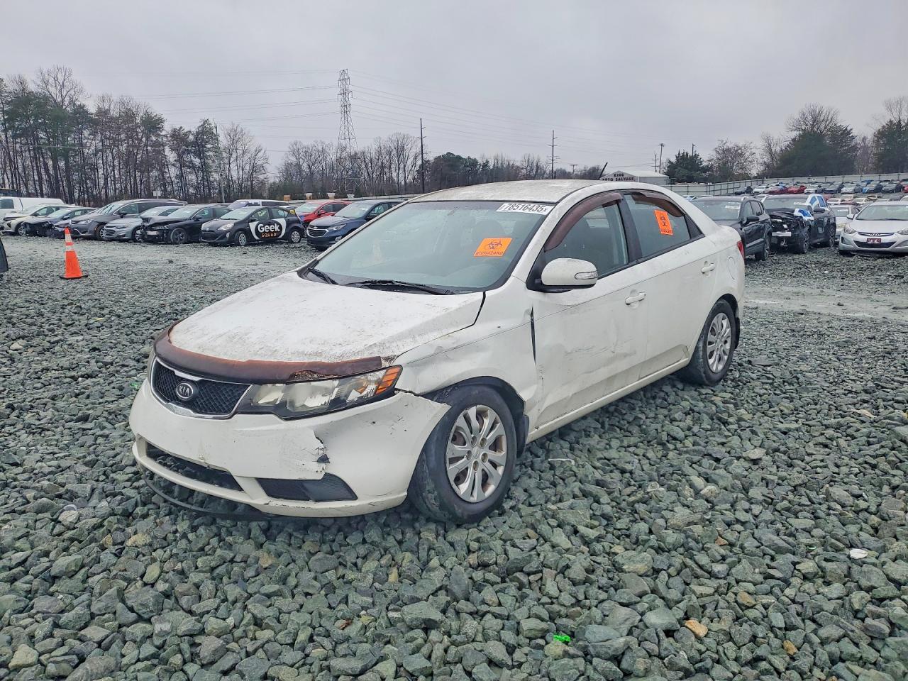 Salvage Kia Forte Image