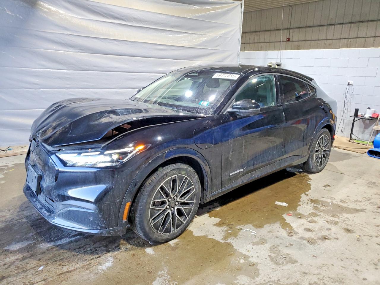 Salvage Ford Mustang Image