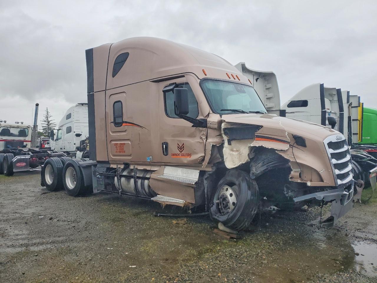 Salvage Freigliner Cascadia Image