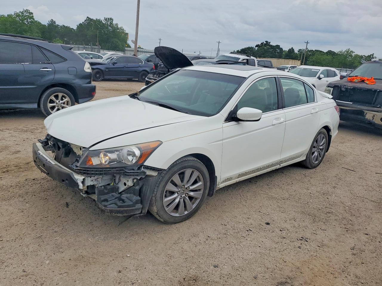 Salvage Honda Accord Image