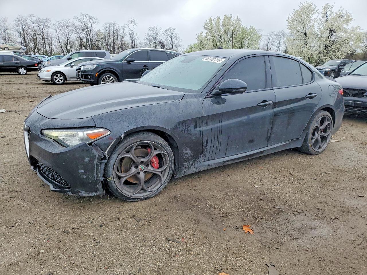 Salvage Alfa Romeo Giulia Image