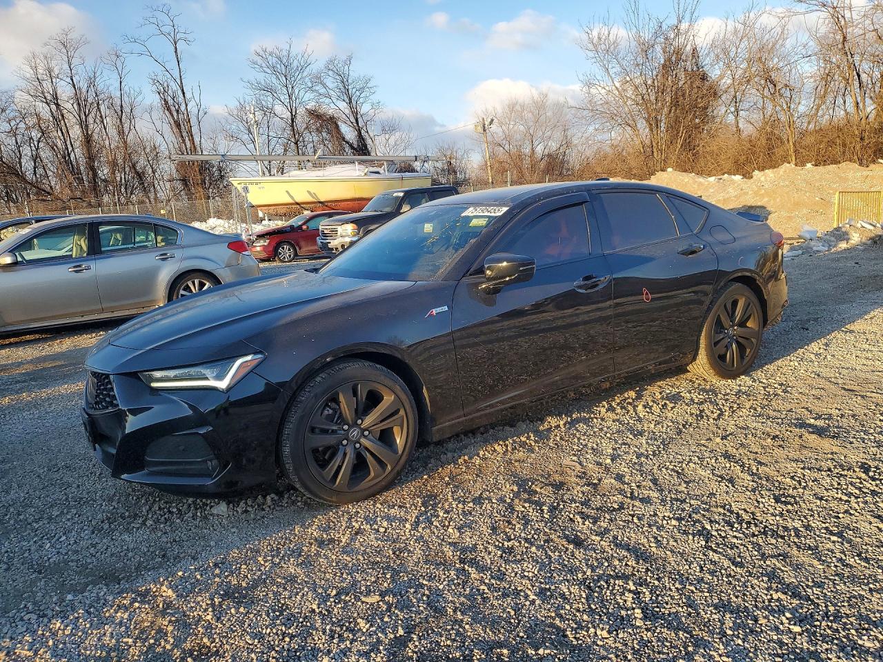Salvage Acura TLX Image