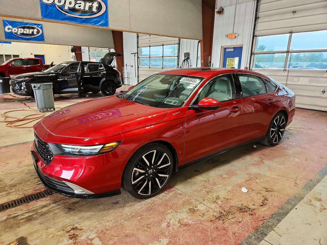 Salvage Honda Accord Image
