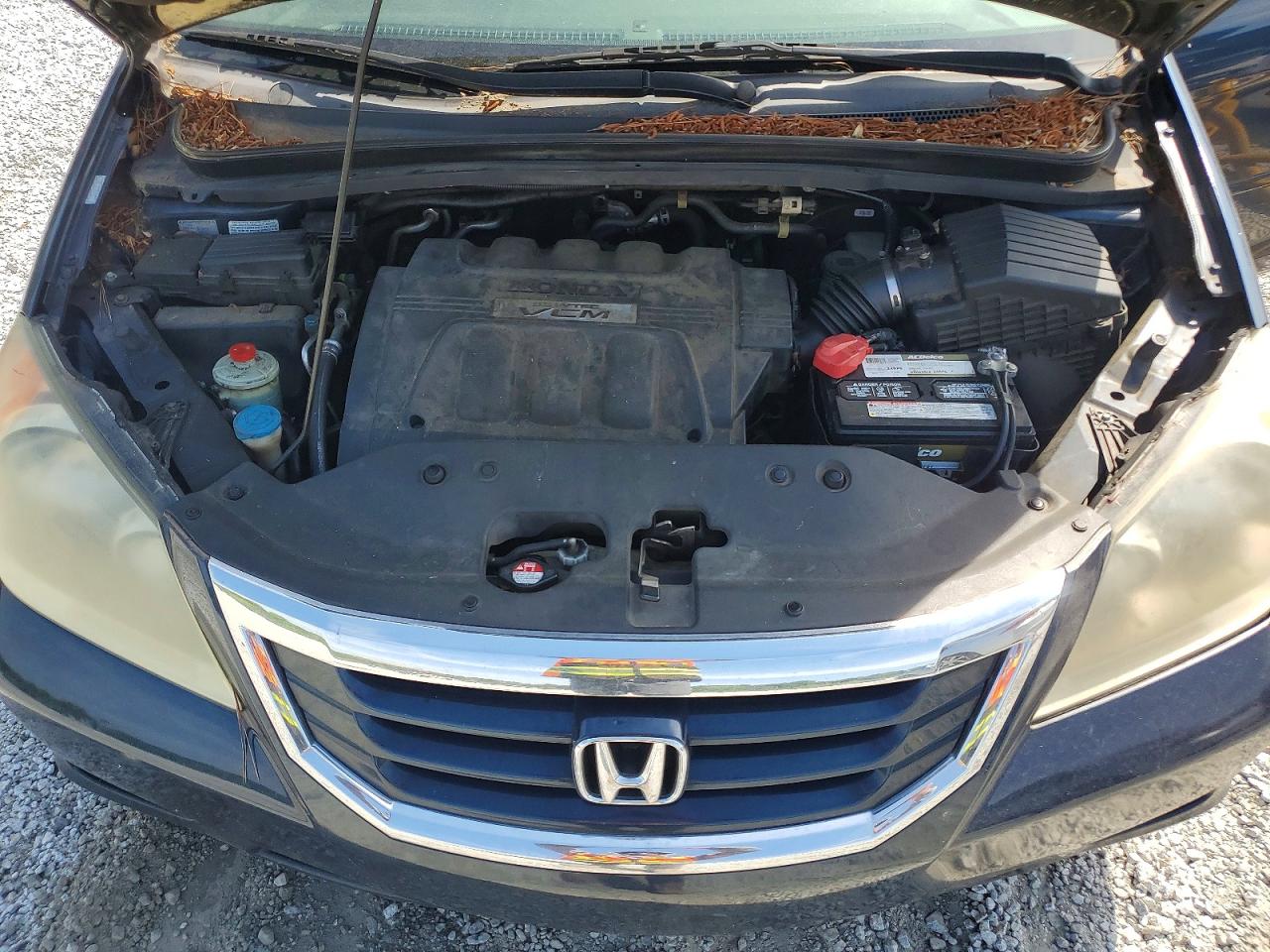 Honda Odyssey Exl