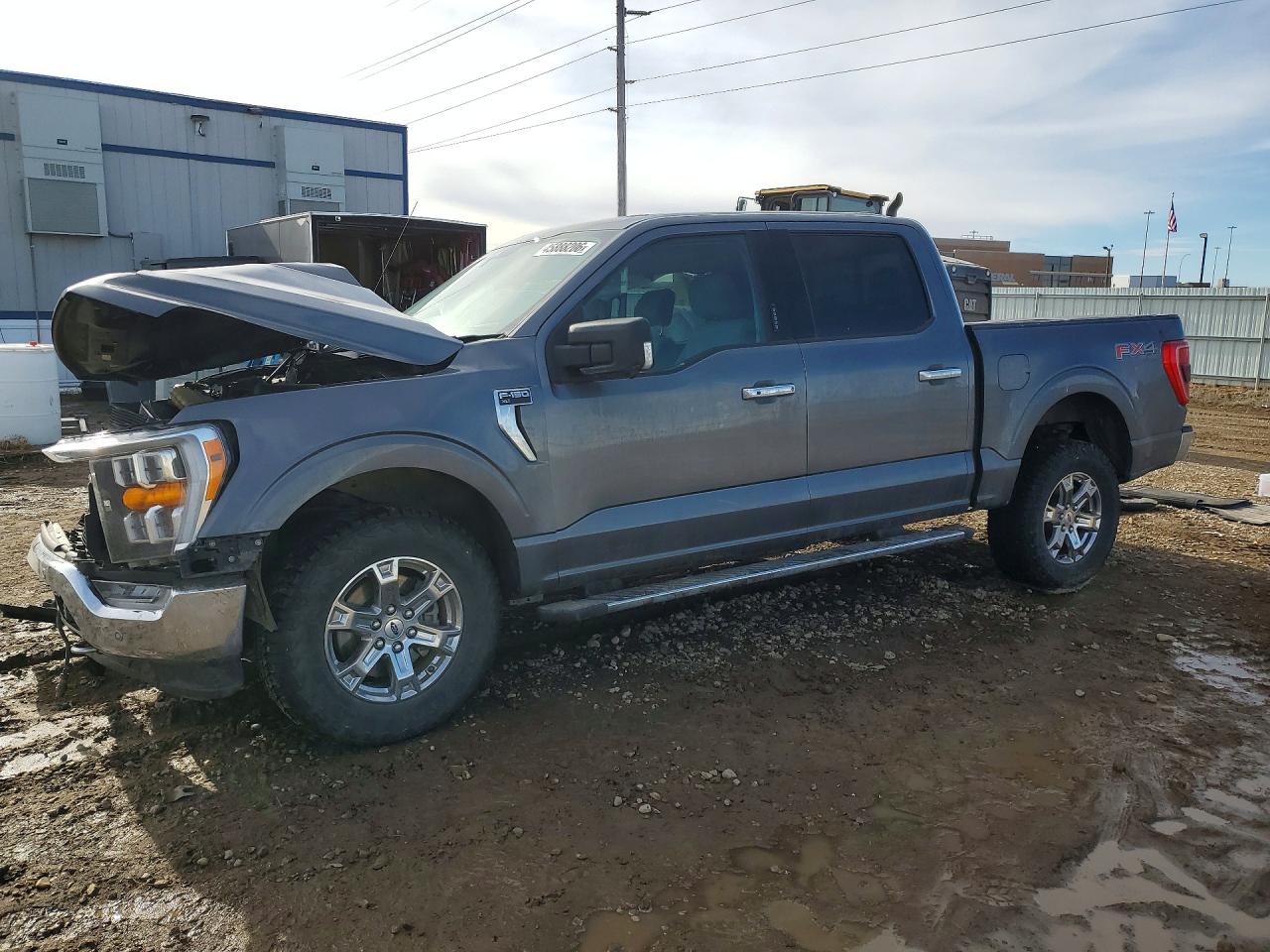 Salvage Ford F-150 Image
