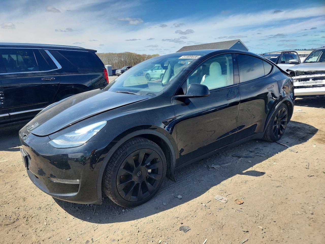 Salvage Tesla Model Y Image