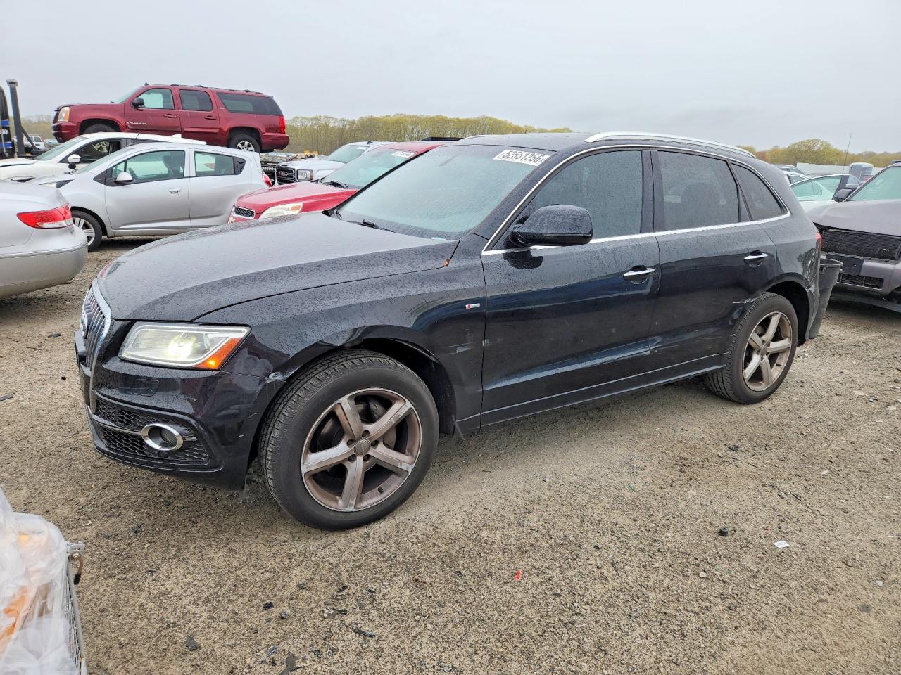 Salvage Audi Q5 Image
