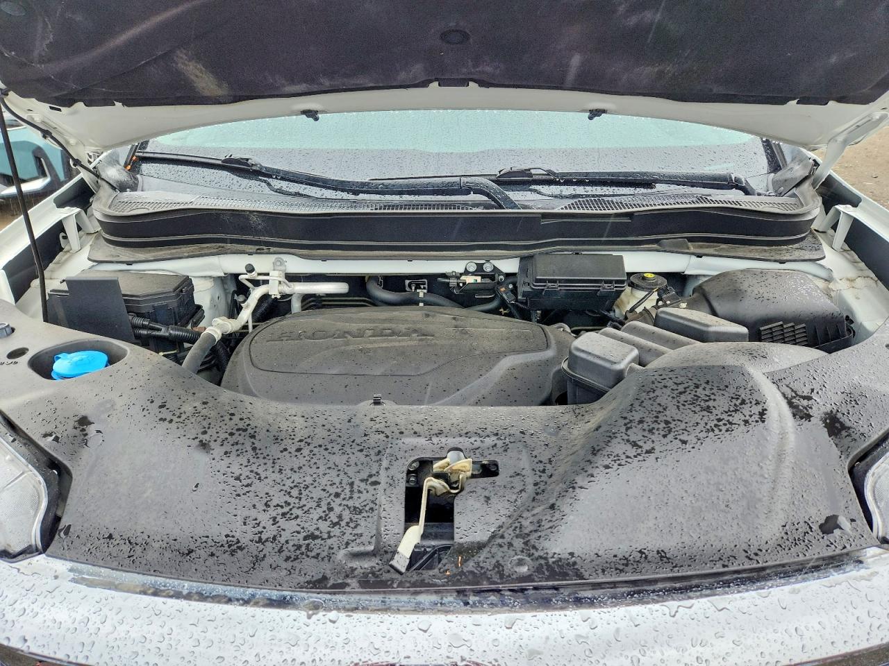 Honda Pilot Exl