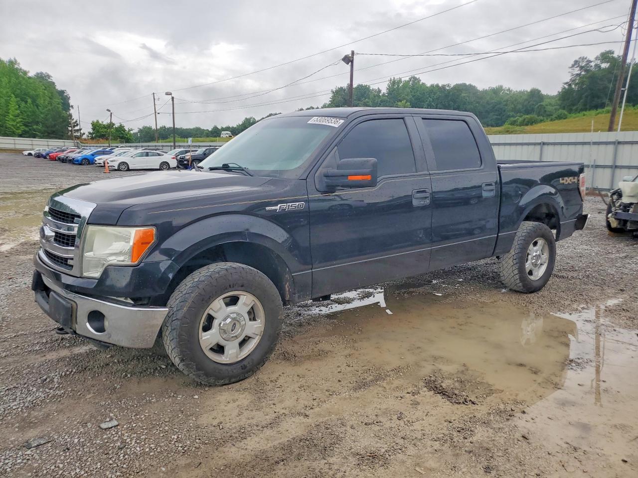 Salvage Ford F-150 Image