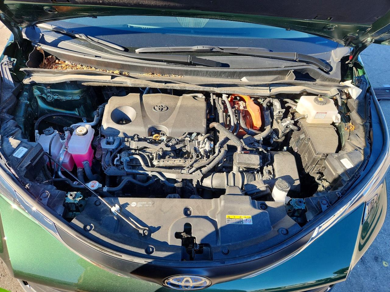 Toyota Sienna Xle