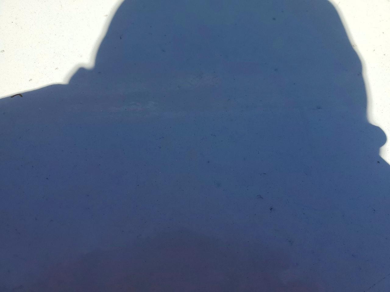 Horizon Other