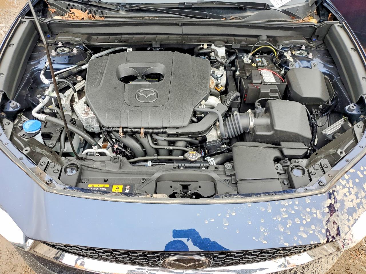 Mazda Cx Preferred