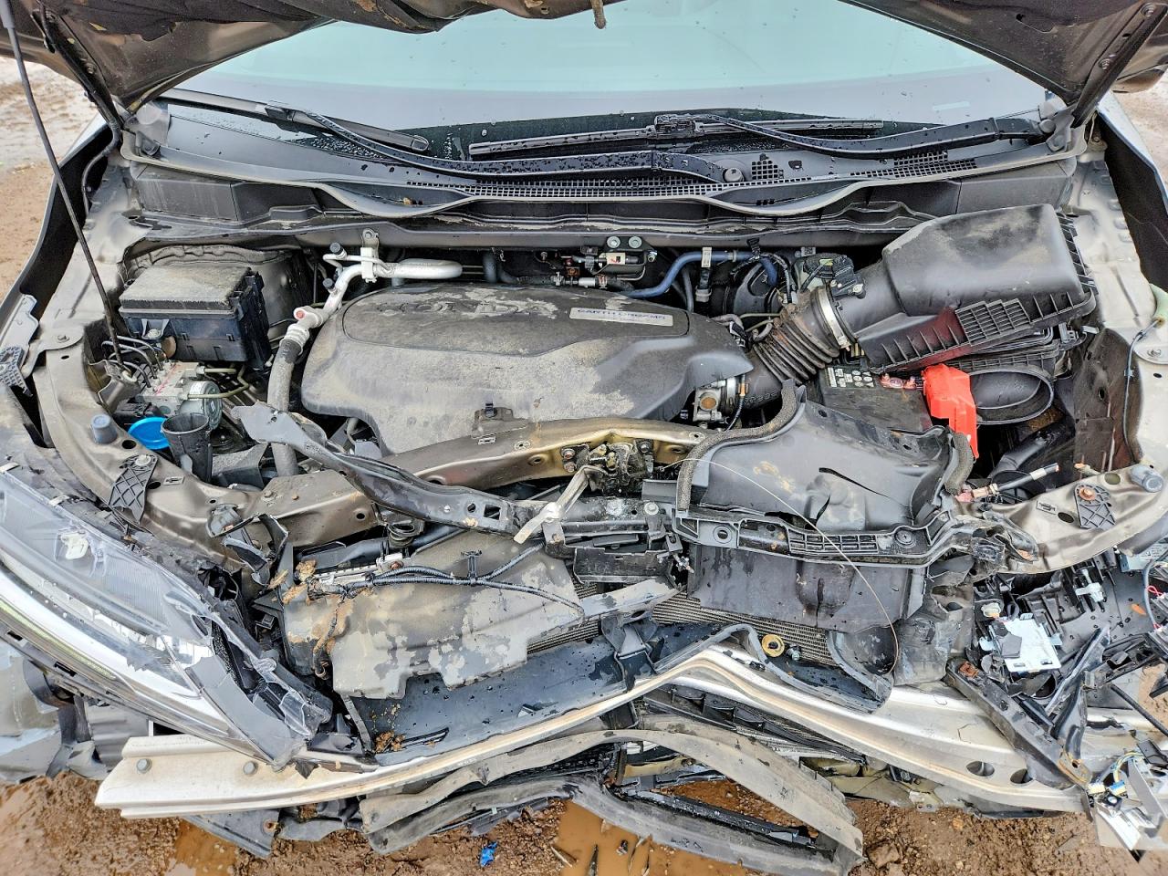 Honda Odyssey Elite
