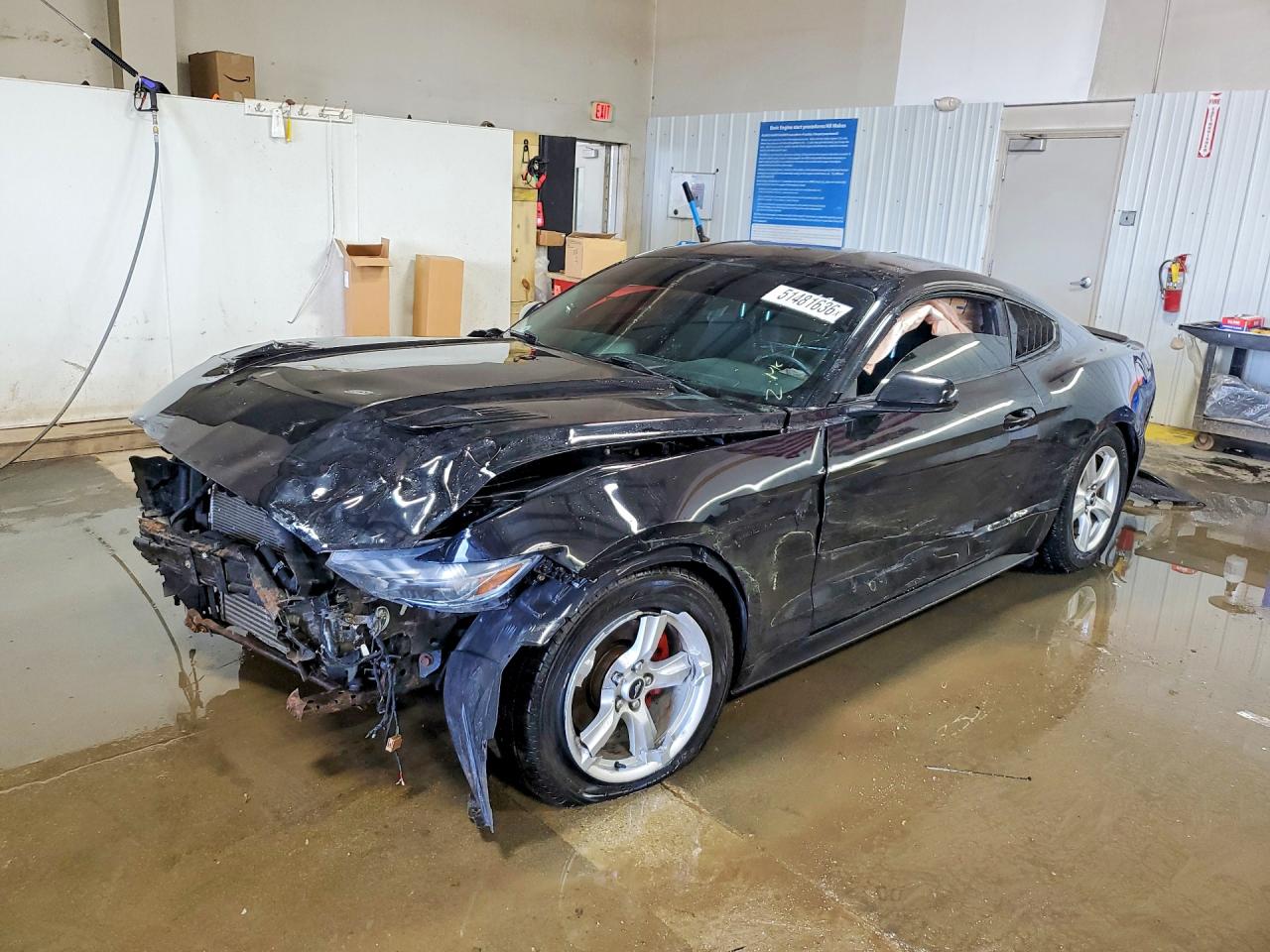 Salvage Ford Mustang Image