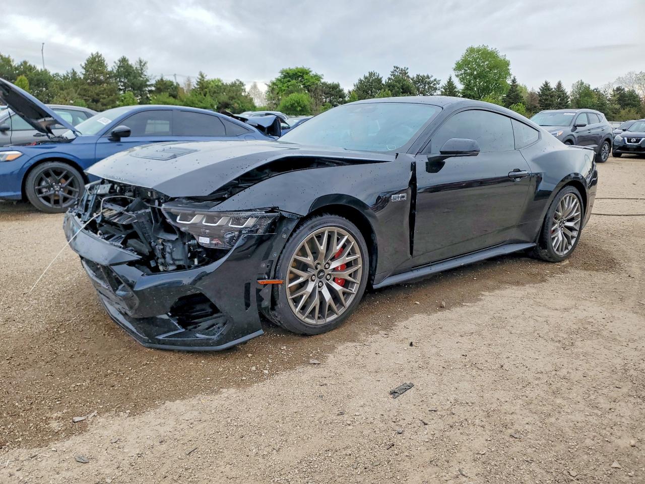 Salvage Ford Mustang Image