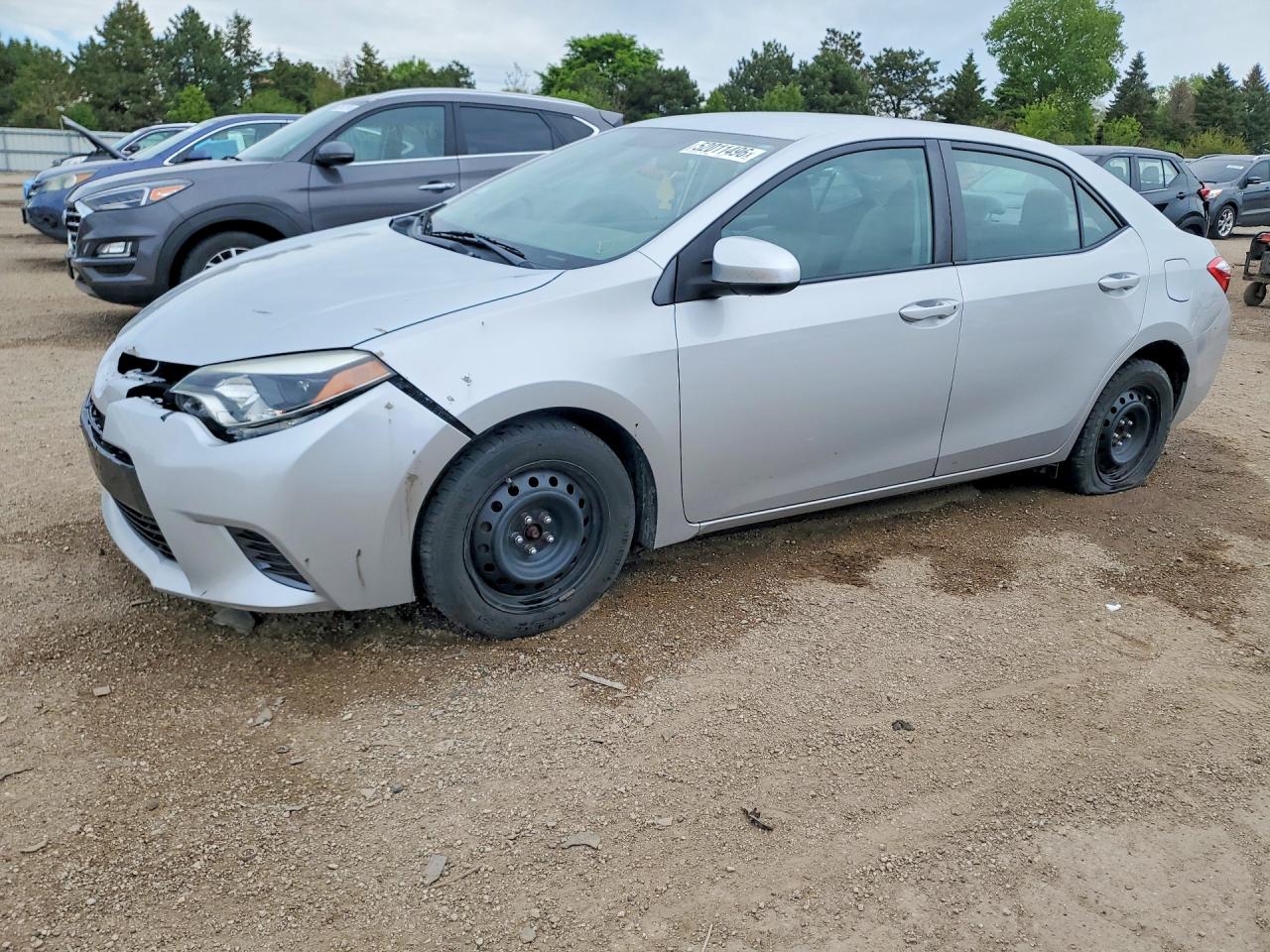 Salvage Toyota Corolla Image