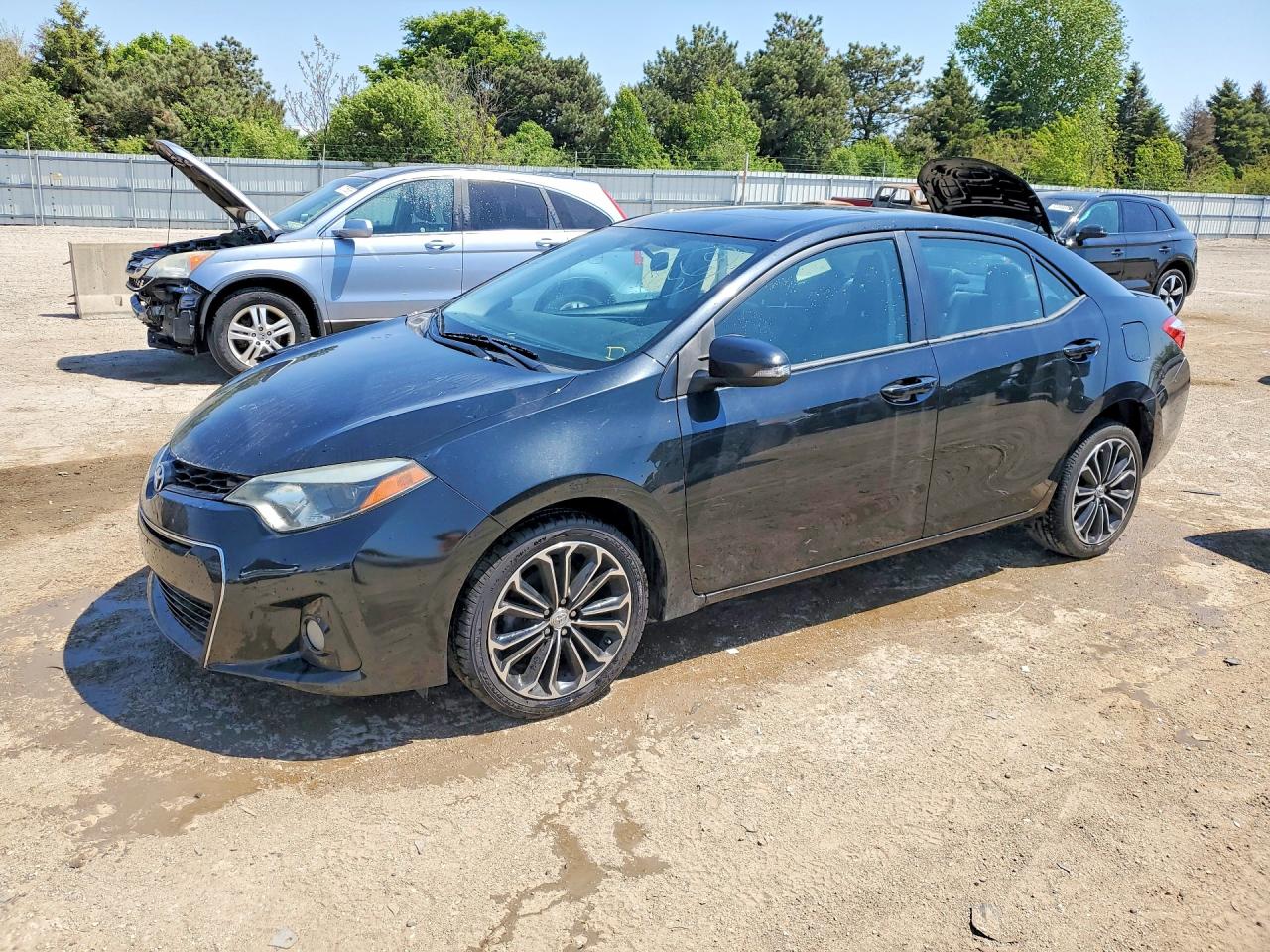 Salvage Toyota Corolla Image