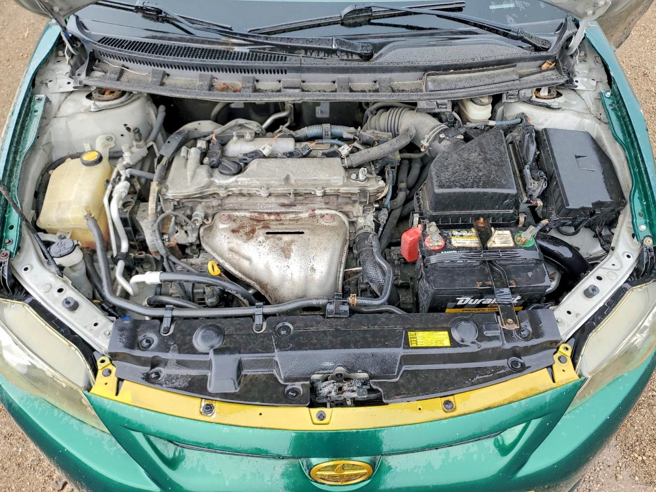 Scion TC Base