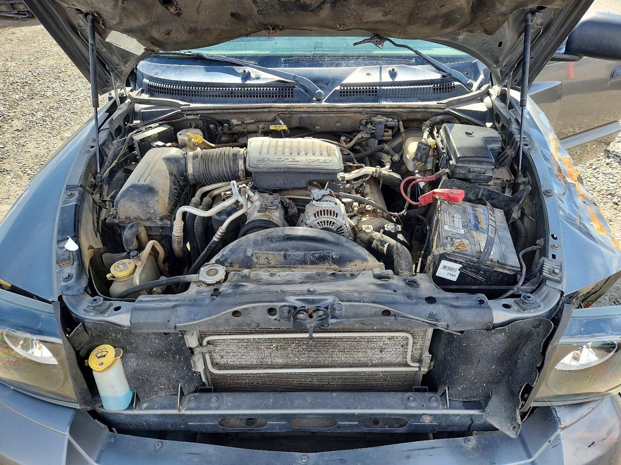 Dodge Dakota Quad Slt